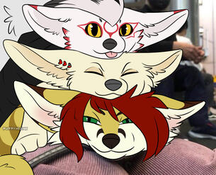 complete ych