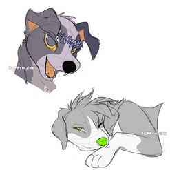 headshots